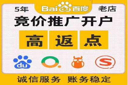竞价端口开户全攻略，案例分析